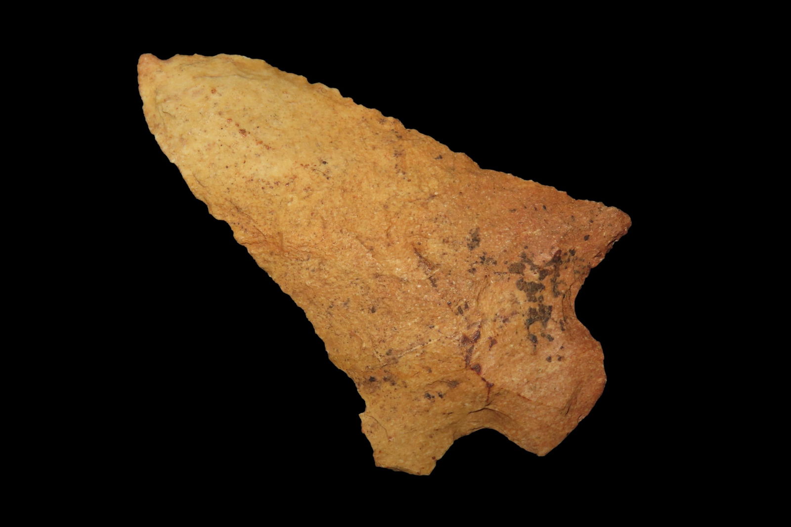 2 5/8" Abbey, Pt. Nassau Co. Florida Found By Jeff Thompson Between 1968-2023 (1 of 7)