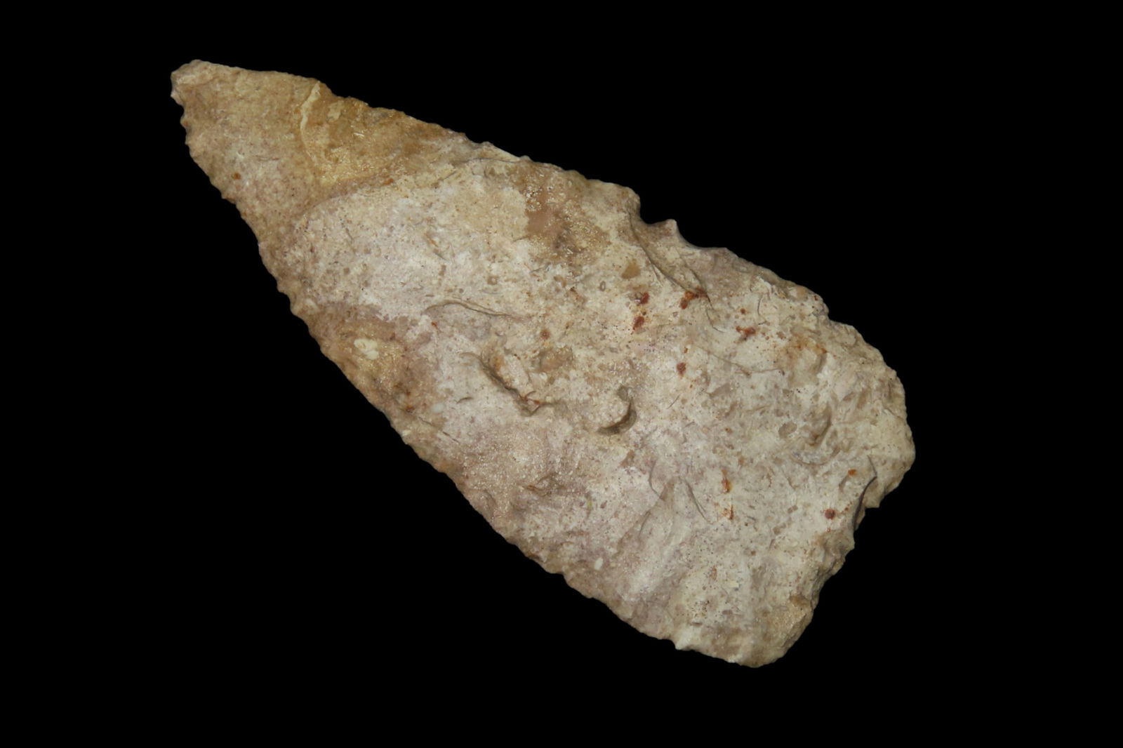 4" Paleo Blade Polk, Co. Florida Found Between 1968-2023 Found By Jeff Thompson (1 of 7)