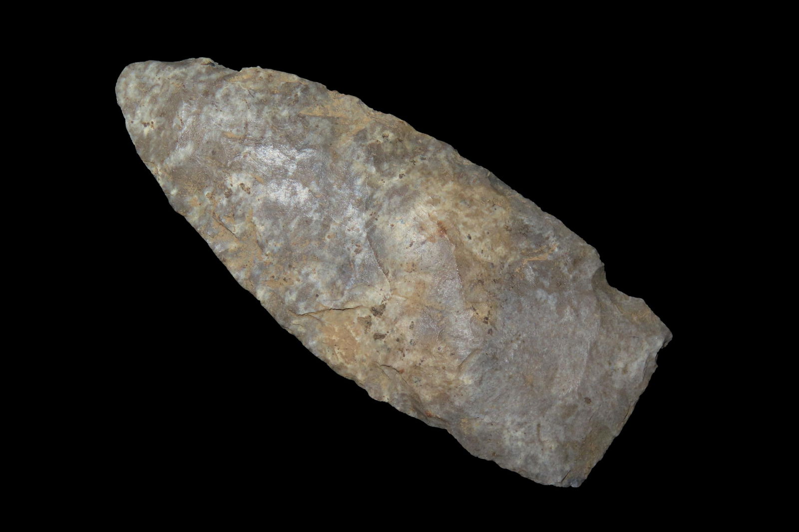 3 1/8" Early Archaic Lancelote Found By Jeff Thompson in either Brevard, Seminole Nassau Broward (1 of 7)