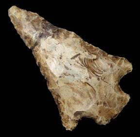 2 3/4" Abbey Pt, -GLUED-Camden Co. Georgia Found Between 1968-2023 By Jeff Thompson