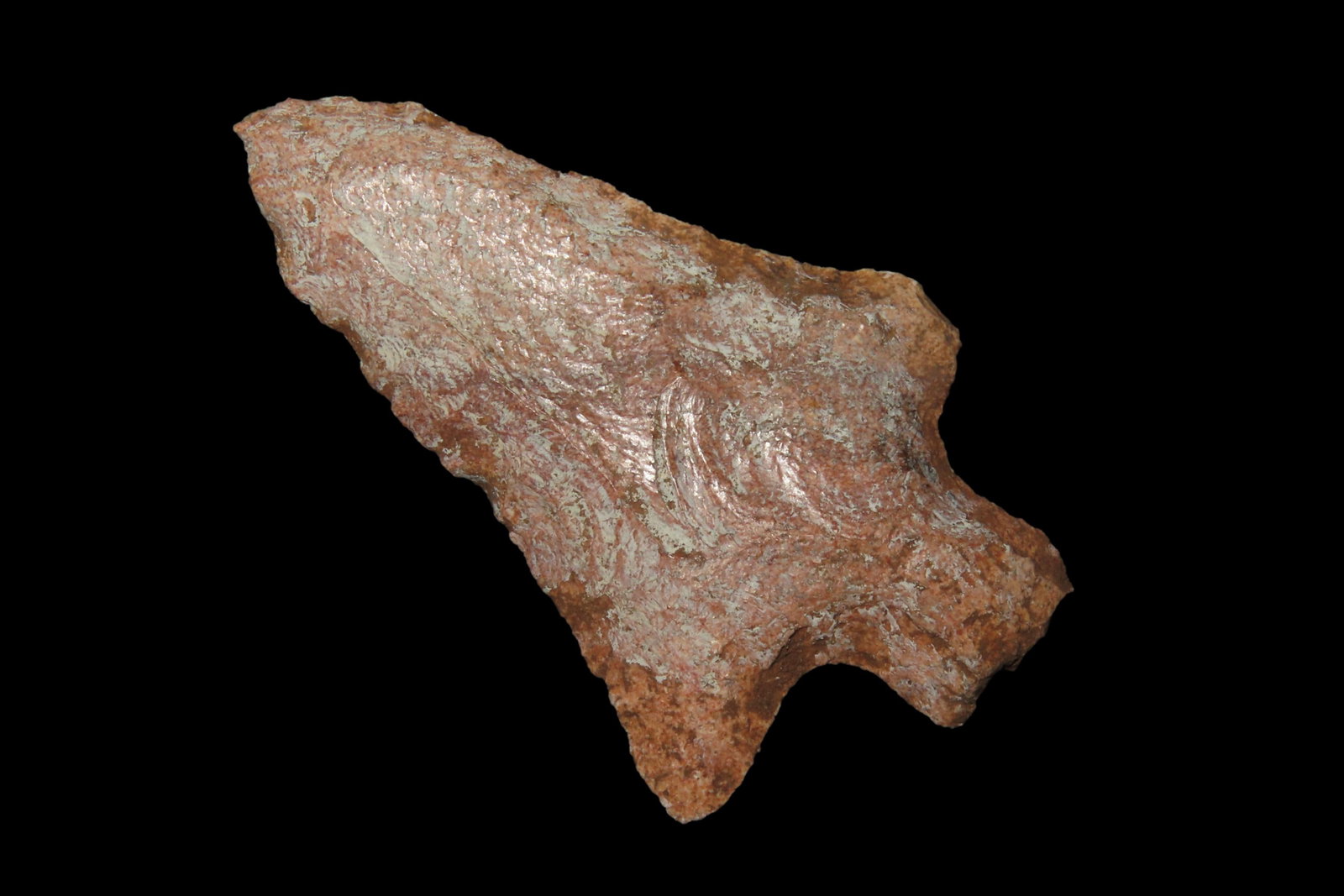 3 1/8" Six Mile Creek Pt. Marion Co. Florida Found Between 1968-2023 By Jeff Thompson (1 of 5)