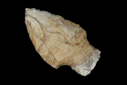 2 3/8" Wild Stripes Material Six Mile Creek Marion Co., Florida Found Between 1968-2023 By Jeff