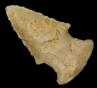 1 5/" Bolen Pt, Found By Jeff Thompson in either Brevard Seminole Nassau Broward Marion or Polk