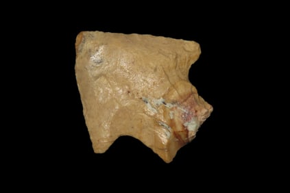 1 1/2" Alachua, Pt. Found By Jeff Thompson in either Brevard Seminole Nassau Broward Marion or Polk