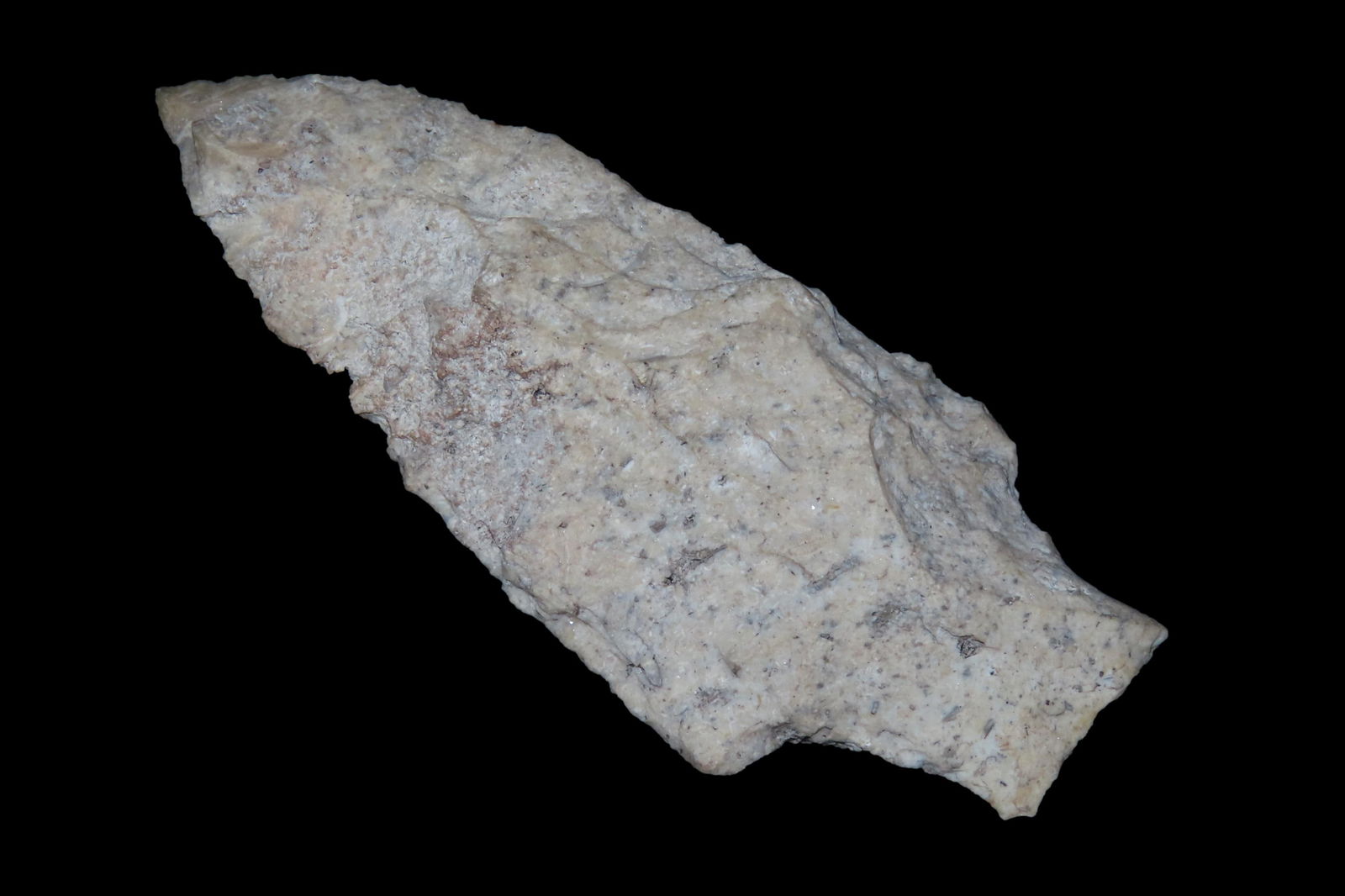 3 3/8" Seminole Pt. Found By Jeff Thompson in either Brevard Seminole Nassau Broward Marion or Polk (1 of 7)