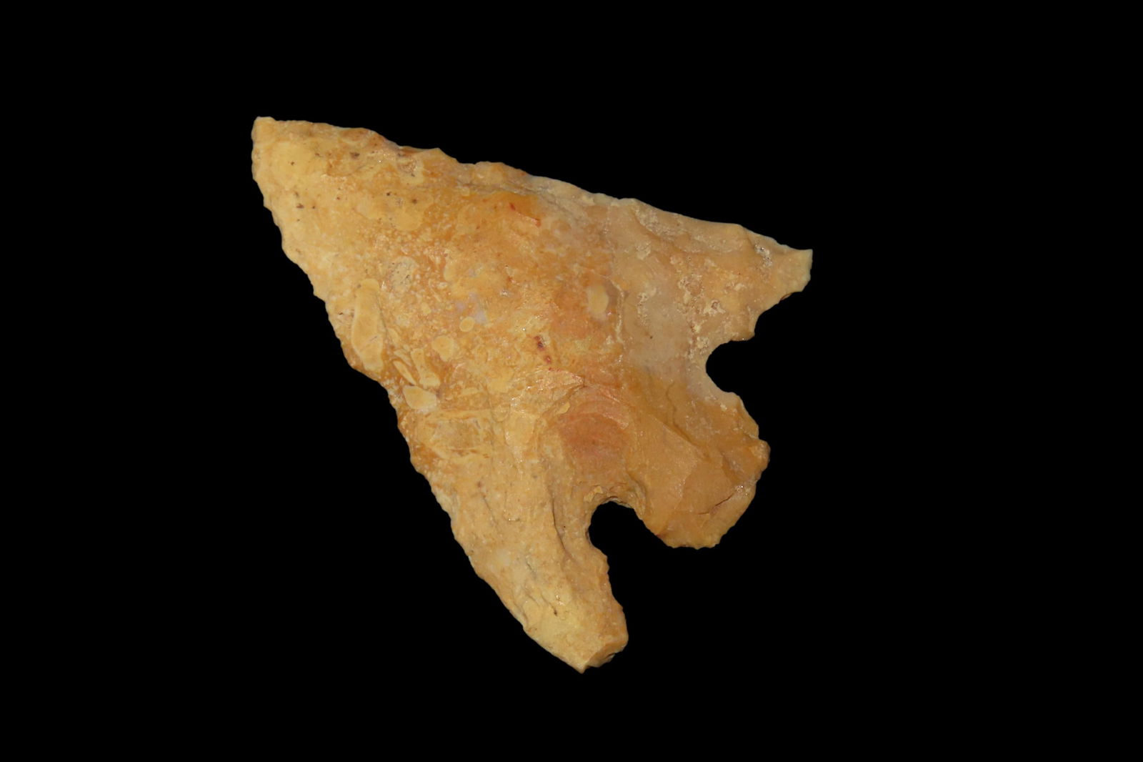 1 5/8" Citrus Pt. Found By Jeff Thompson In either Brevard Seminole Nassau Broward Marion or Polk (1 of 9)