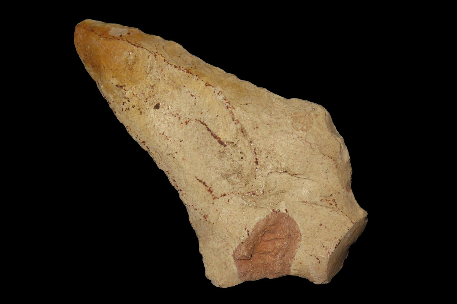 3 1/2" Abbey Pt, Found By Jeff Thompson in either Brevard Seminole Nassau Broward Marion or Polk (1 of 5)