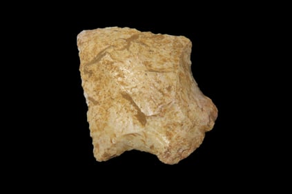 13/4" Abbey Pt. Found By Jeff Thompson in either Brevard Seminole Nassau Broward Marion or Polk