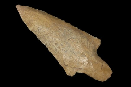 3 5/16" Putnam Pt. Found By Jeff Thompson in either Brevard Seminole Nassau Broward Marion or Polk