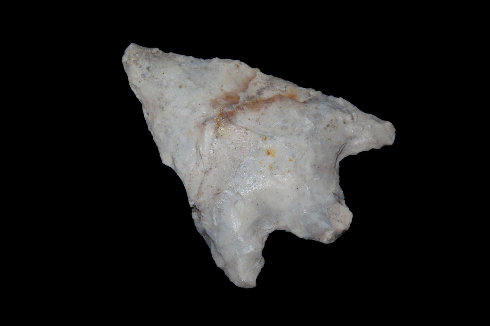 2 1/4" Hillsborough Pt. Found By Jeff Thompson in either Brevard Seminole Nassau Broward Marion or (1 of 5)