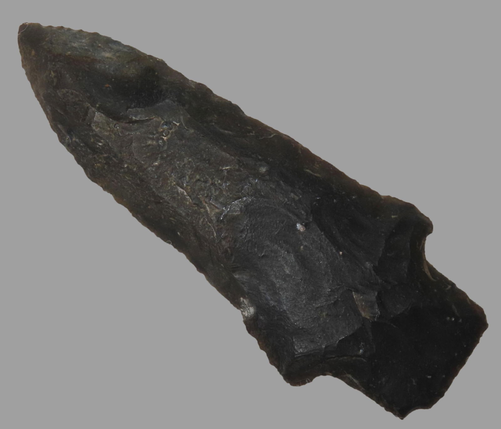 3 1/8" Alachua Pt, Found By Jeff Thompson in either Brevard Seminole Nassau Broward Marion or Polk (1 of 5)