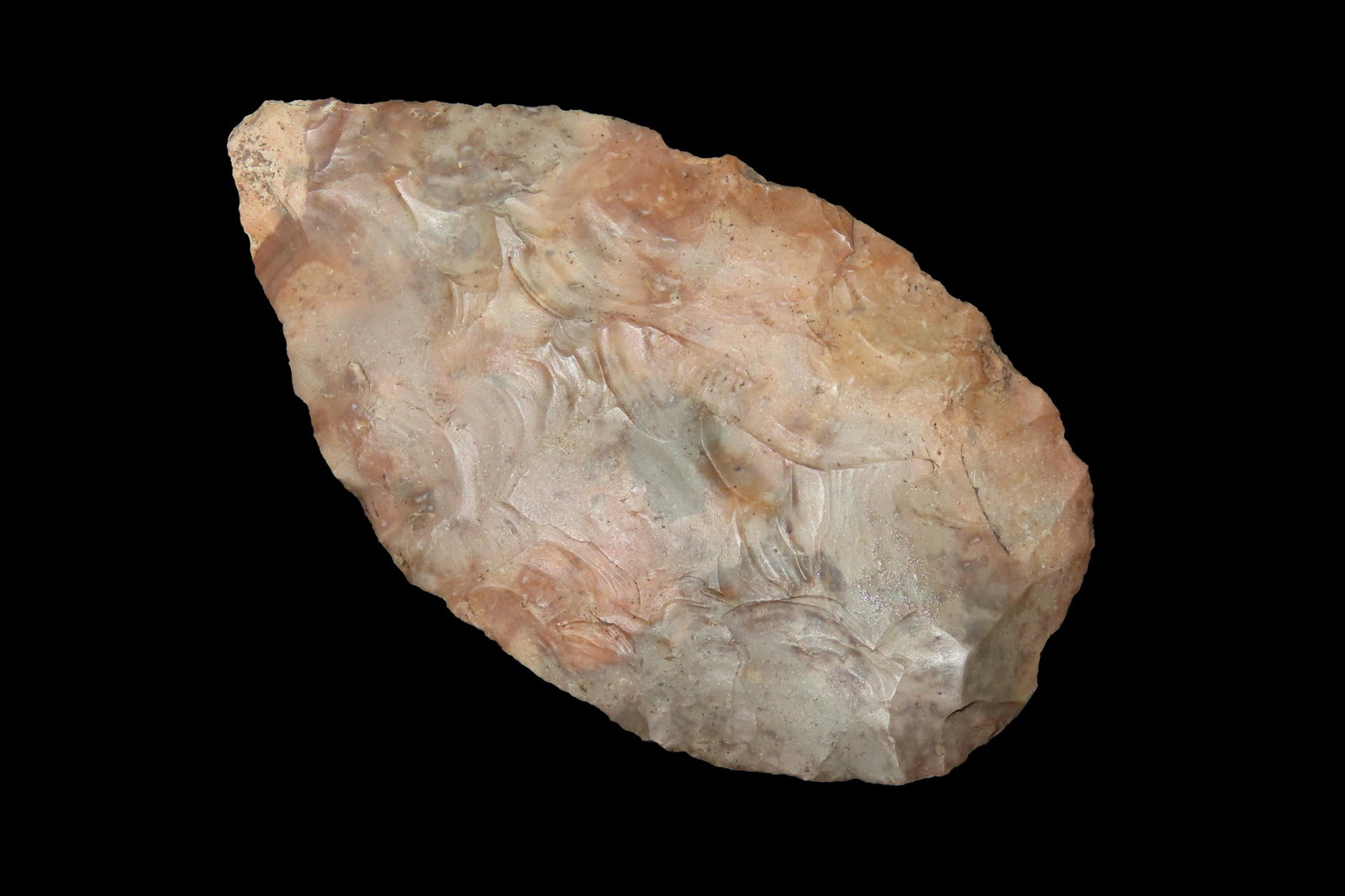 3 7/8" X 2 13/16" North Blade (Snyders Preform), Dickey COA, Found in MO/IL, Ex Alisha Johnson (1 of 8)