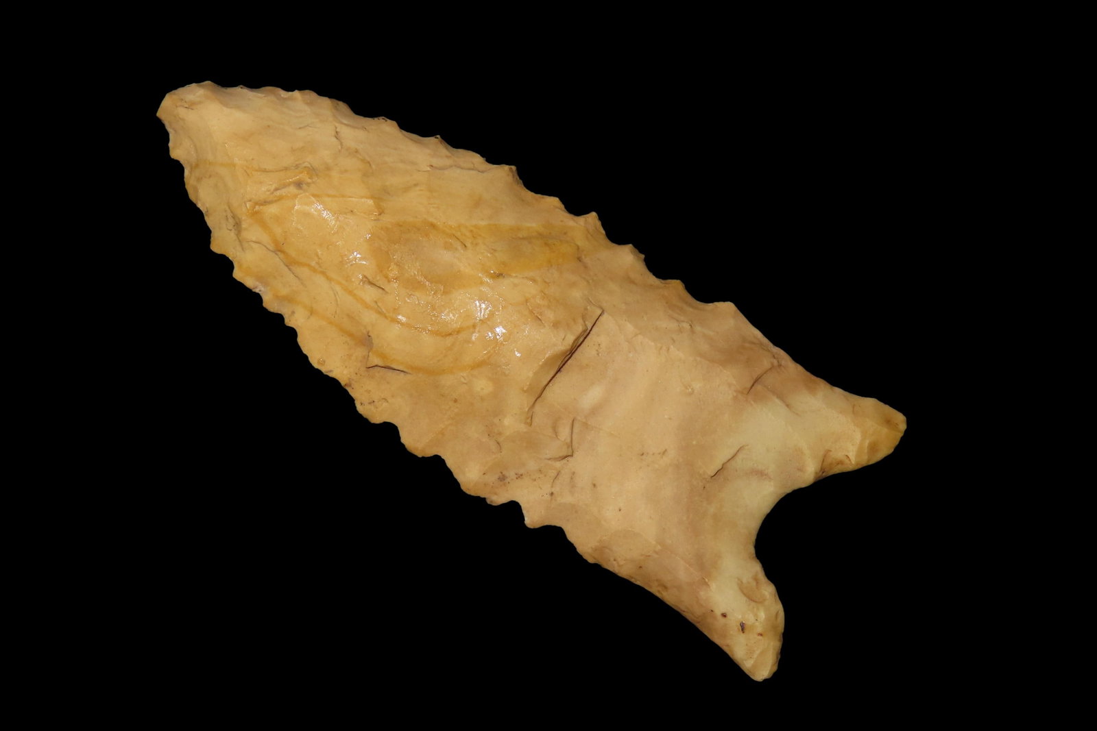 2 1/2" X 7/8" Dalton, Motley COA, Found in Yell Co. AR., (1 of 8)