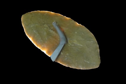 3 9/16" X 1 11/16" Folsom Ultra-Thin, Motley COA, Found in Montana