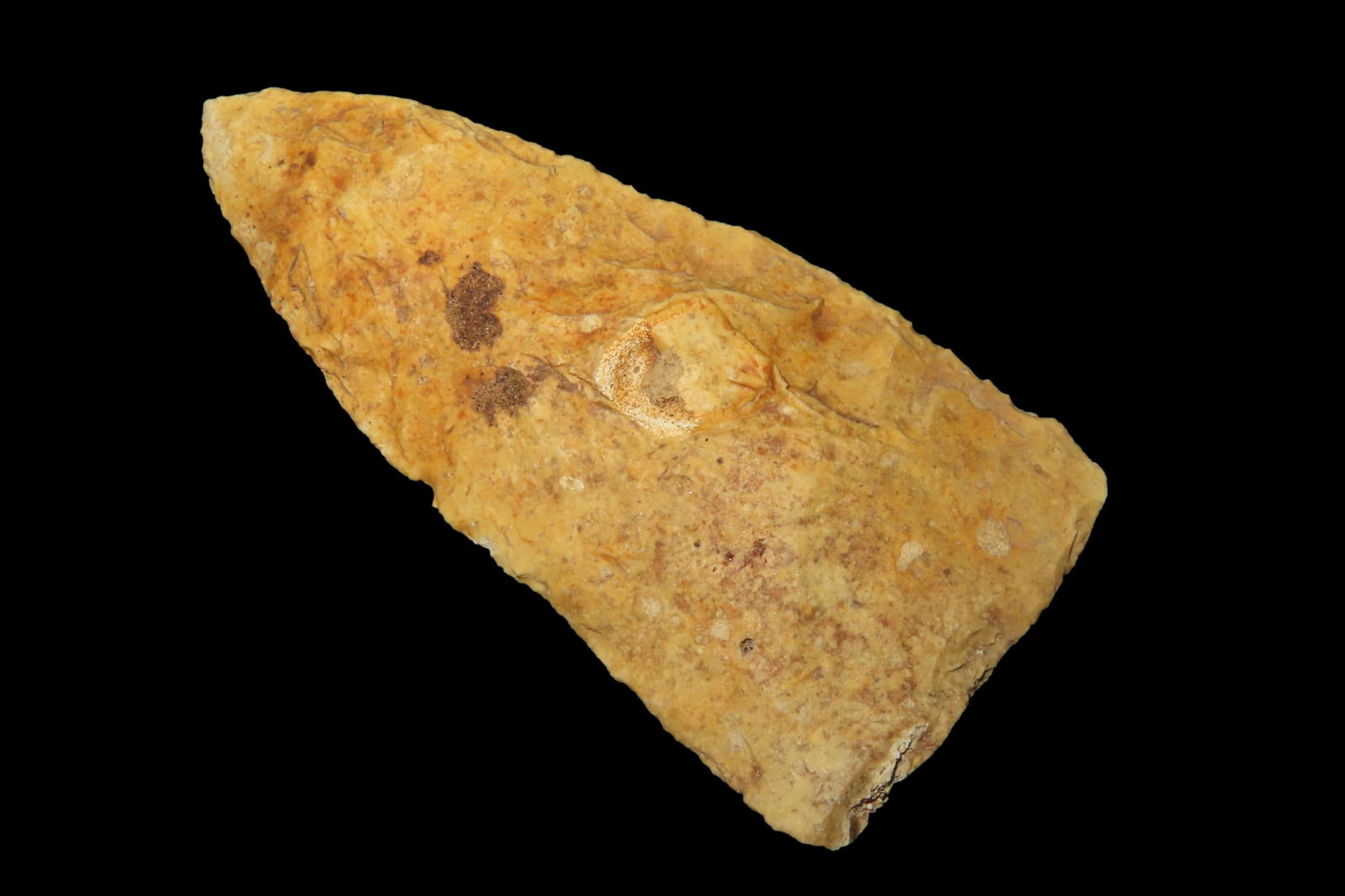 3 3/8" X 1 1/2" Archaic Knife Preform, Dickey COA, Found Near Tampa, FL., Ex Michael Gargas (1 of 9)