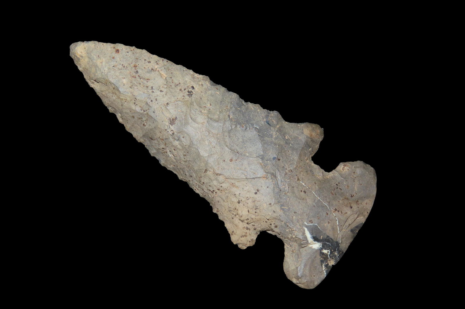 3 5/16" X 1 7/16" Coshocton Thebes, Dickey COA, Found in Central Ohio (1 of 8)