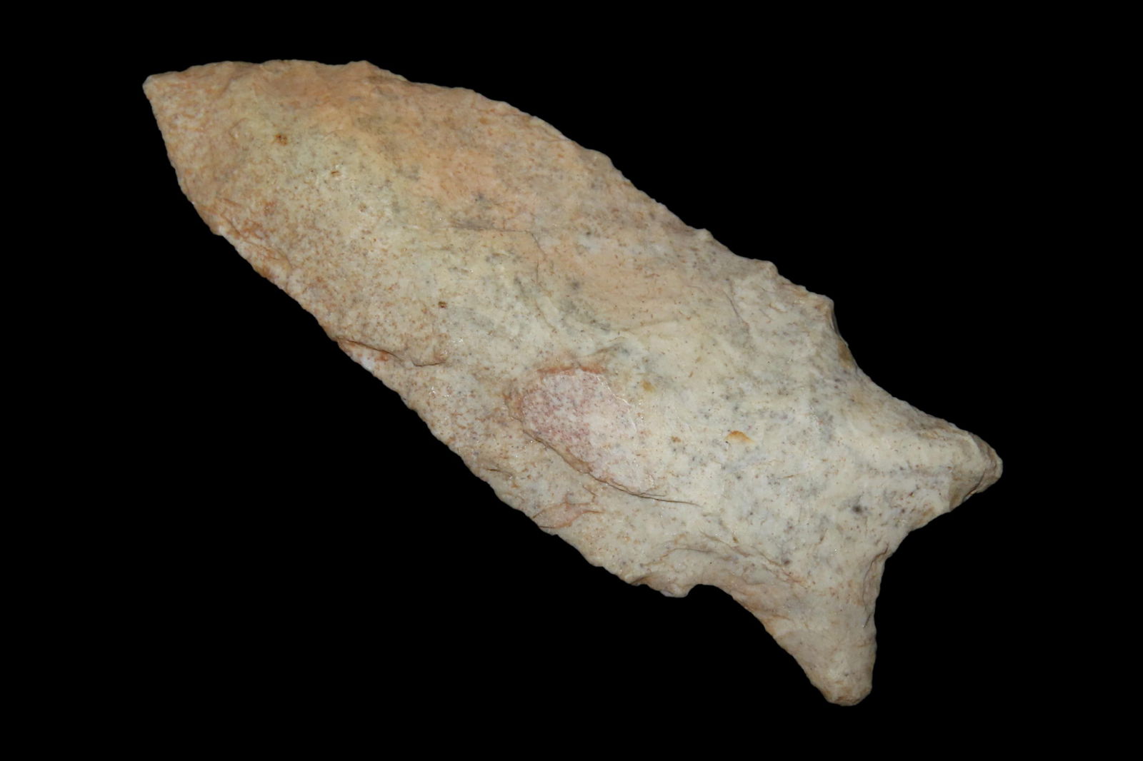 3" X 1 3/16" Dalton, Motley COA, Found in Lee Co. AR. (1 of 8)