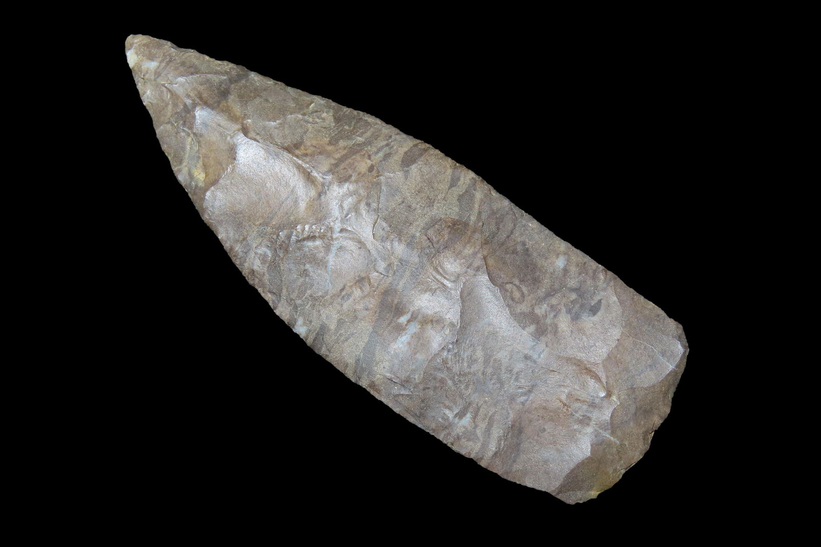 3 15/16" X 1 3/8" Copena Rounded Base, Dickey COA, Found in Wayne Co. TN., Ex Jerry Dickey/ Jim Lee (1 of 8)