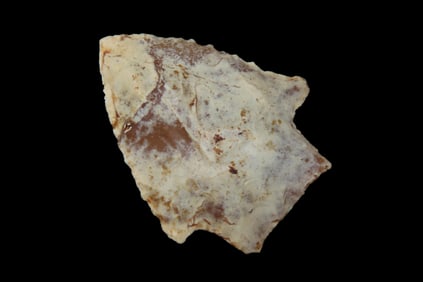 1 13/16" X 1 7/16" Wacissa, Dickey COA, Found in North Florida, Ex Dennis Bushy/ Jim Lee