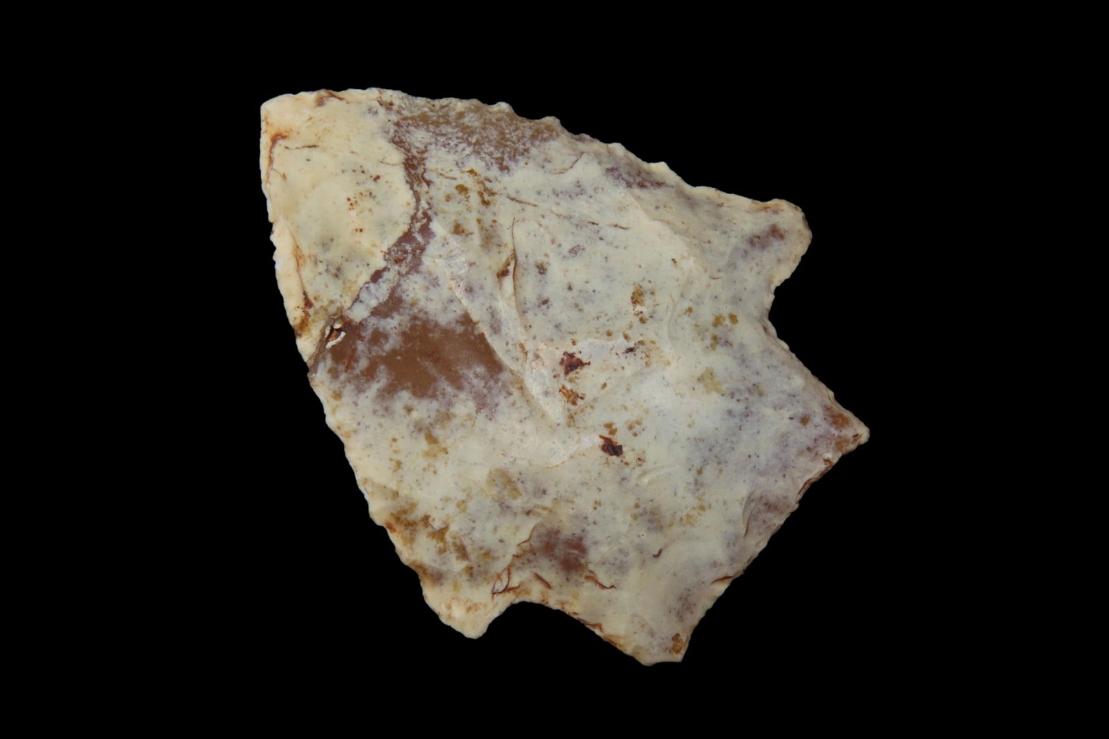 1 13/16" X 1 7/16" Wacissa, Dickey COA, Found in North Florida, Ex Dennis Bushy/ Jim Lee (1 of 8)