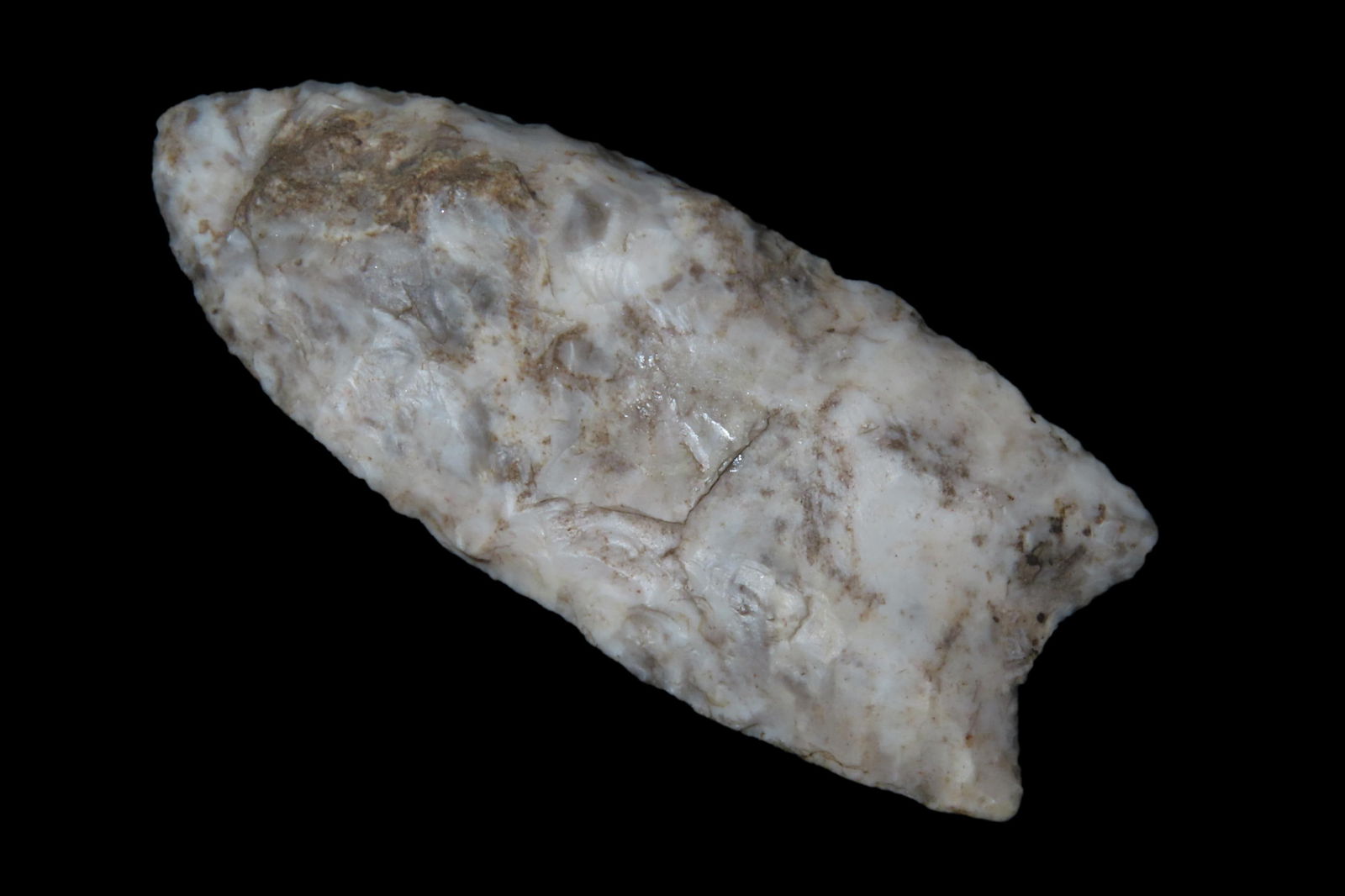 2 5/8" X 1 1/8" Clovis, Motley COA, Found in Pike Co. IL. (1 of 8)