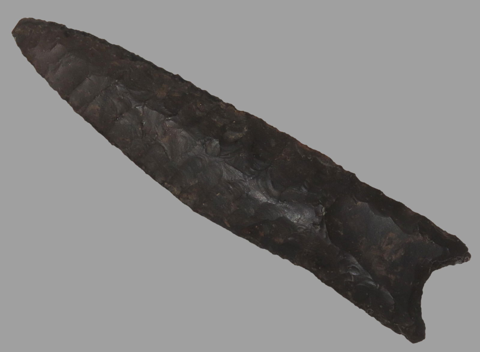 4 5/8" X 1" Clovis, Motley COA, Found in Tennessee (1 of 8)