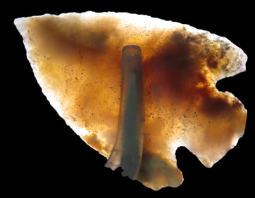 2" Hamilton Stemmed, Dickey COA, Found in Northern Alabama, Ex Jerry Dickey/ Jim Lee