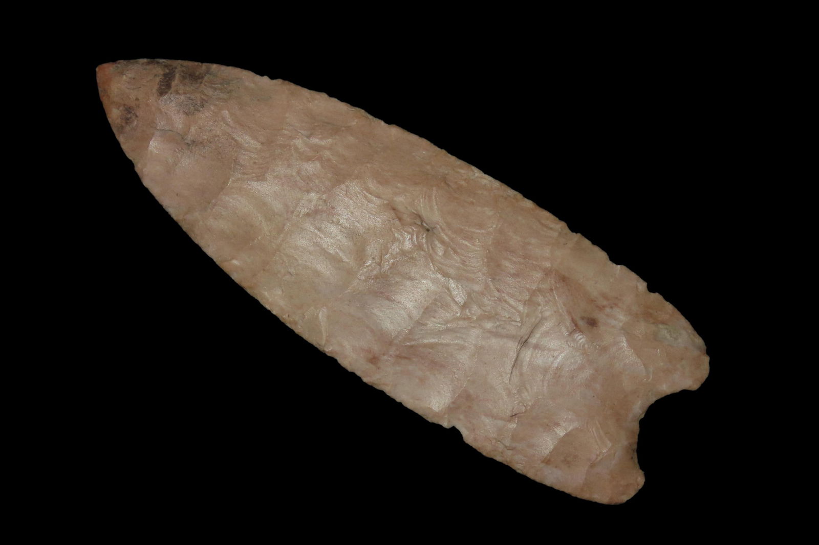 3 5/8" X 1 1/4 Wheeler, Motley COA, Found in Kentucky (1 of 8)