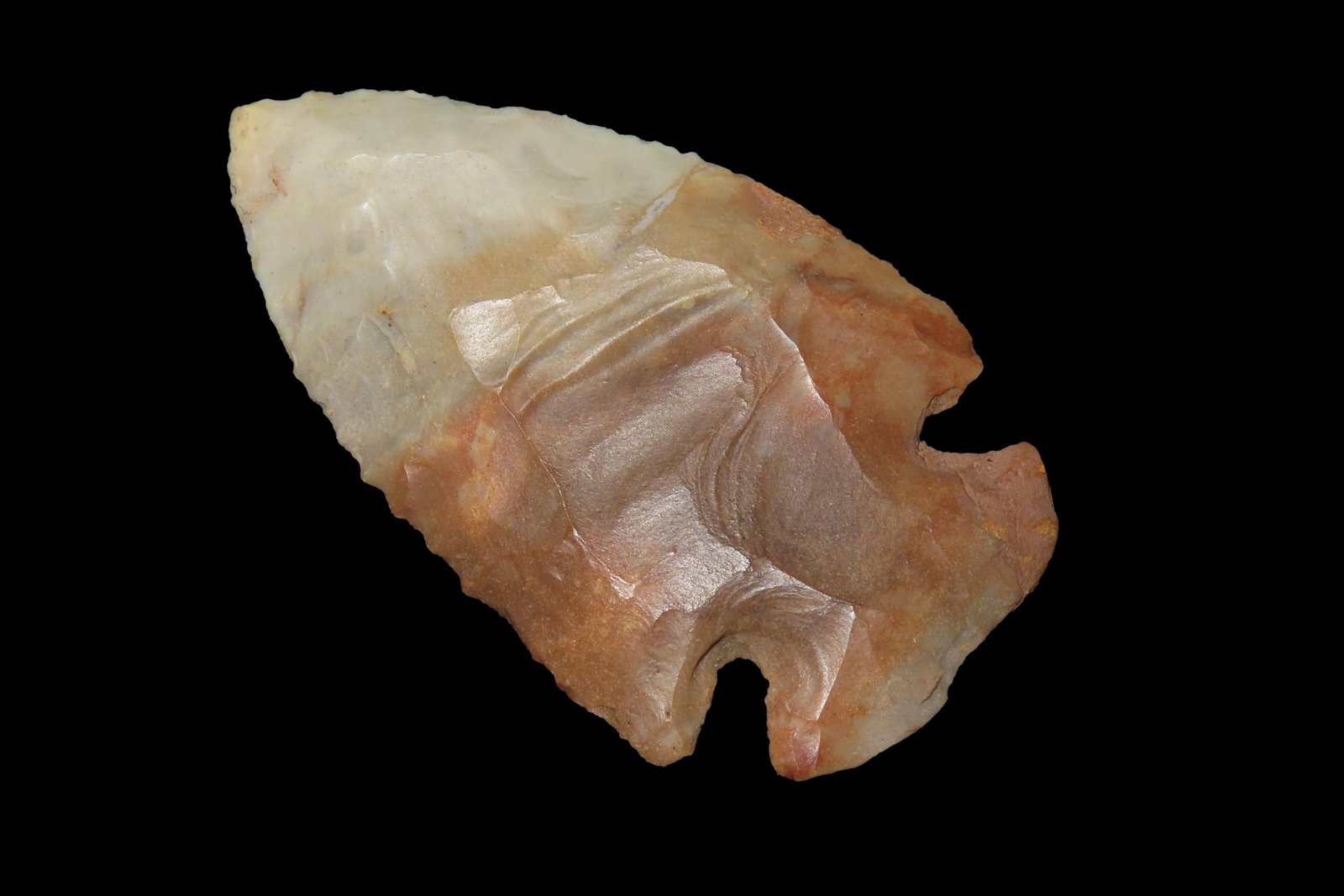 2 3/4" Dovetail, Restored, Found in Kentucky, Ex Walt Mclntire (1 of 7)