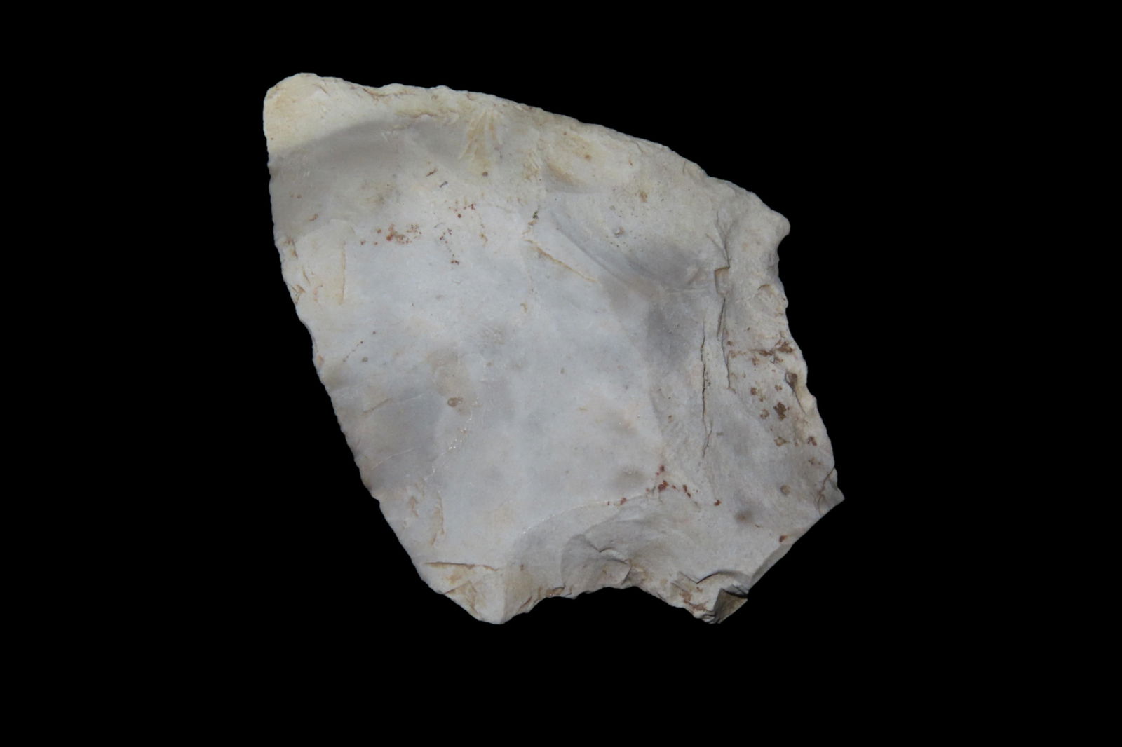 2 1/4" Cottonbridge Pt, found in Marion Co., Florida between 1968-2023 by Jeff Thompson: 2 1/4" Cottonbridge Pt, found in Marion Co., Florida between 1968-2023 by Jeff Thompson