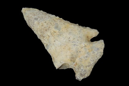 2 7/16" Bolen Pt, found in Florida or Georgia between 1968-2023 by Jeff Thompson