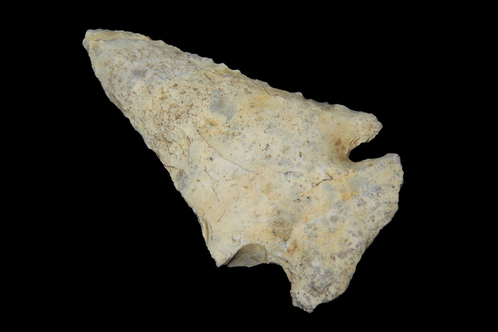 2 7/16" Bolen Pt, found in Florida or Georgia between 1968-2023 by Jeff Thompson: 2 7/16" Bolen Pt, found in Florida or Georgia between 1968-2023 by Jeff Thompson