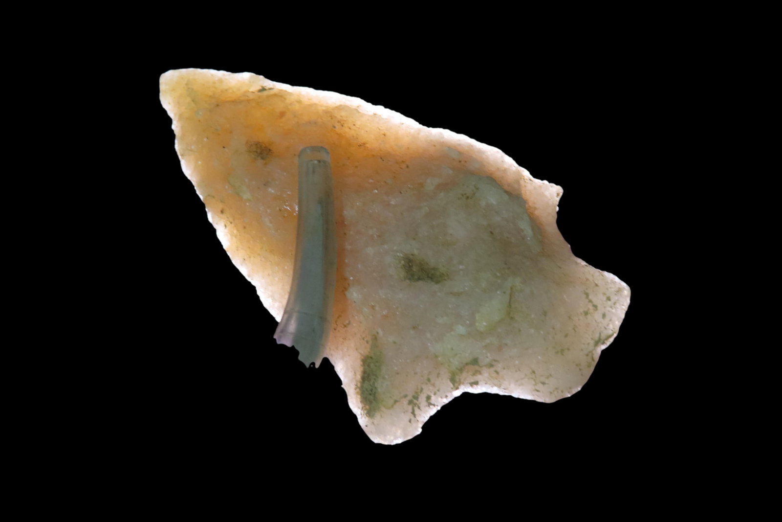 2 3/8" Seminole Pt, found in Marion Co., Florida between 1968-2023 by Jeff Thompson: 2 3/8" Seminole Pt, found in Marion Co., Florida between 1968-2023 by Jeff Thompson