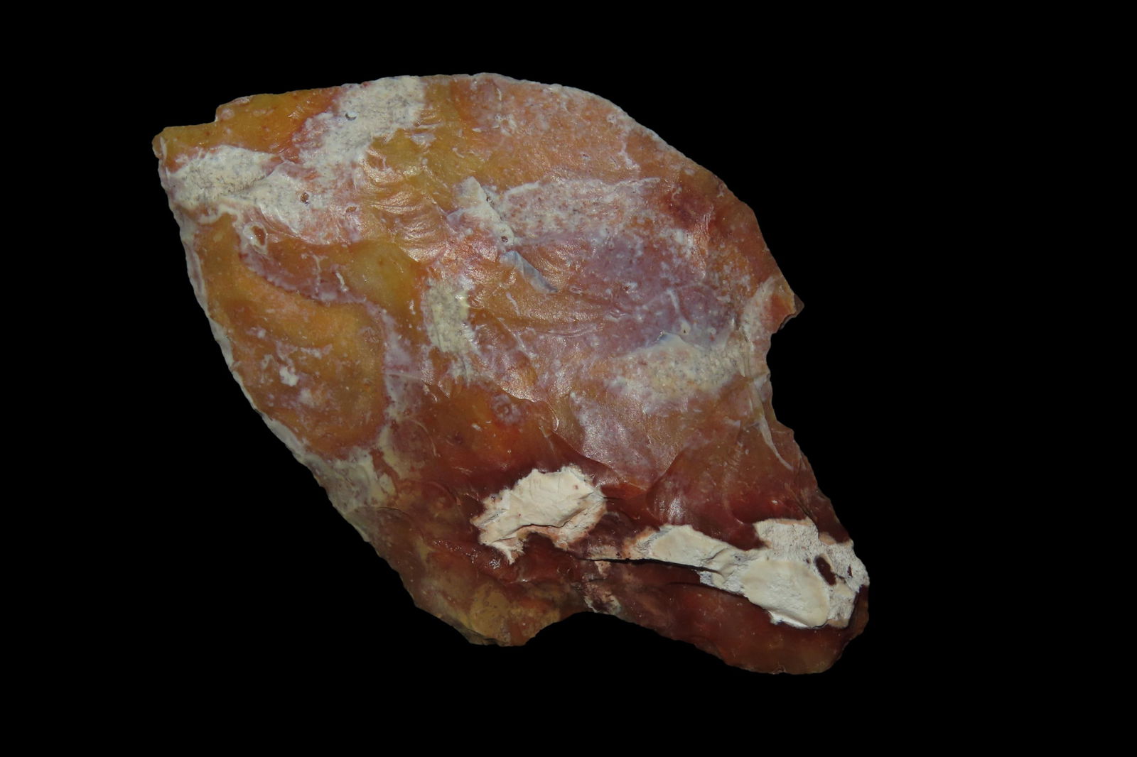 2 1/2" Levey Pt, found in either Florida or Georgia between 1968-2023 by Jeff Thompson: 2 1/2" Levey Pt, found in either Florida or Georgia between 1968-2023 by Jeff Thompson