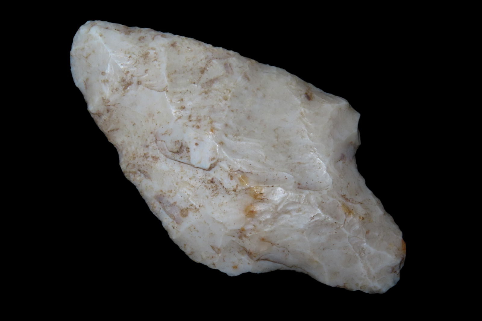 2 5/8" Marion Pt, found in Marion Co., Florida between 1968-2023 by Jeff Thompson: 2 5/8" Marion Pt, found in Marion Co., Florida between 1968-2023 by Jeff Thompson