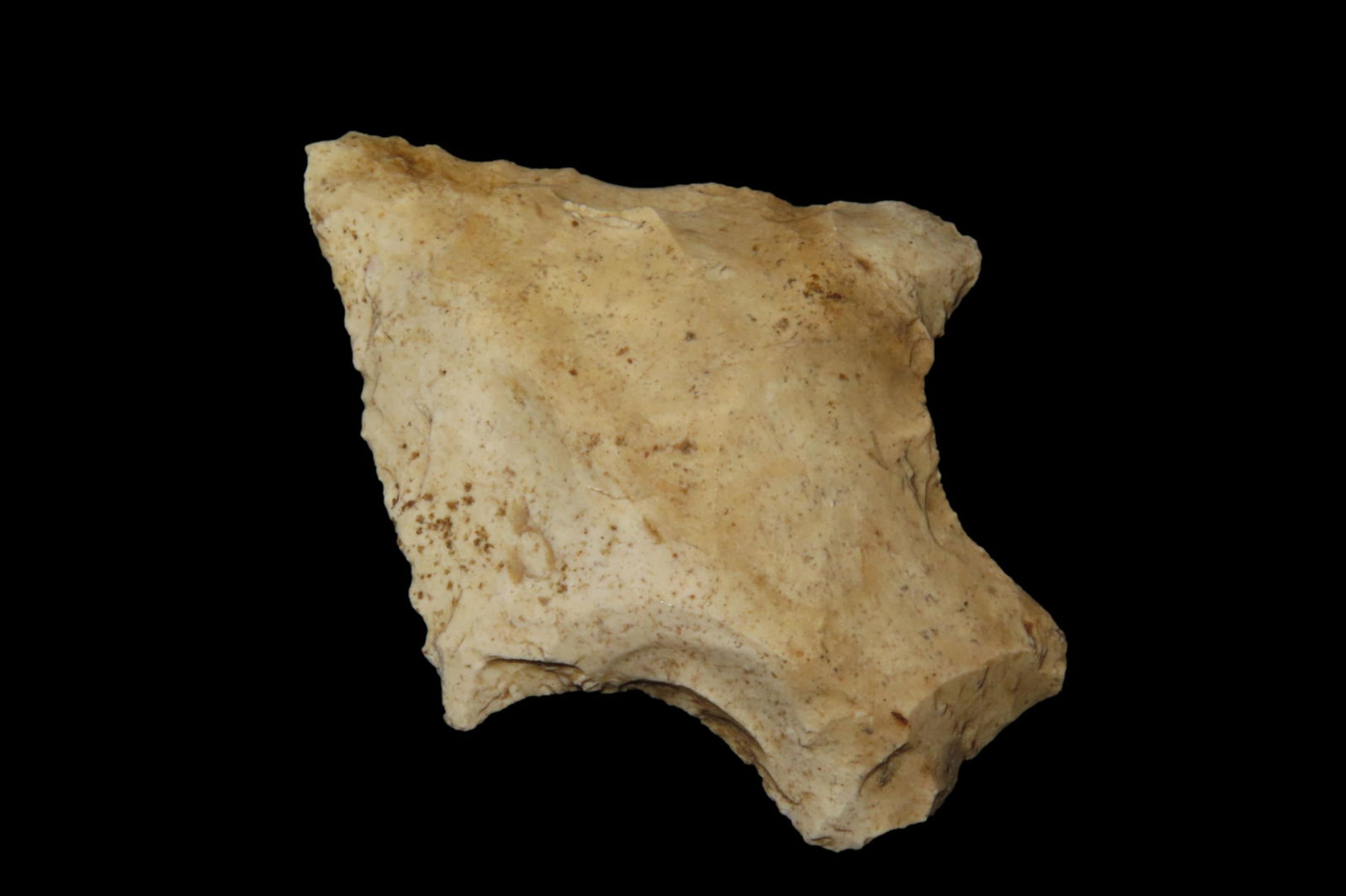 2 1/4" Alachua, found in Pope Co., Florida between 1968-2023 by Jeff Thompson: 2 1/4" Alachua, found in Pope Co., Florida between 1968-2023 by Jeff Thompson