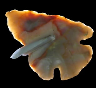 2 1/16" Dovetail, found in Marion Co., Florida between 1968-2023 by Jeff Thompson