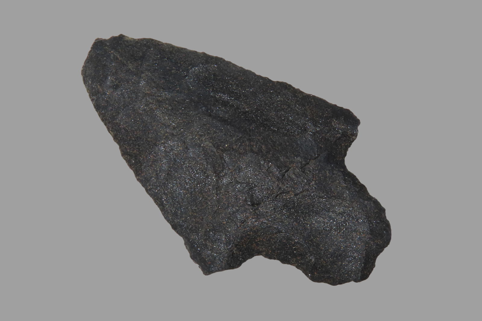 2" Newnan, found in Marion Co., Florida between 1968-2023 by Jeff Thompson (1 of 6)