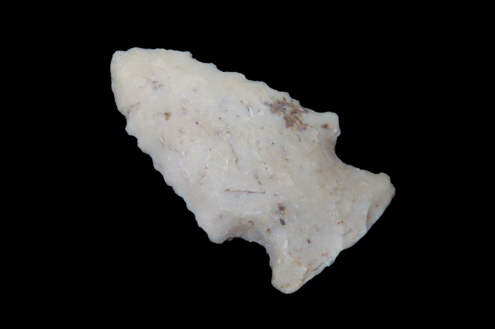 1 5/8" Bolen Pt, found in either Florida or Georgia between 1968-2023 by Jeff Thompson (1 of 6)