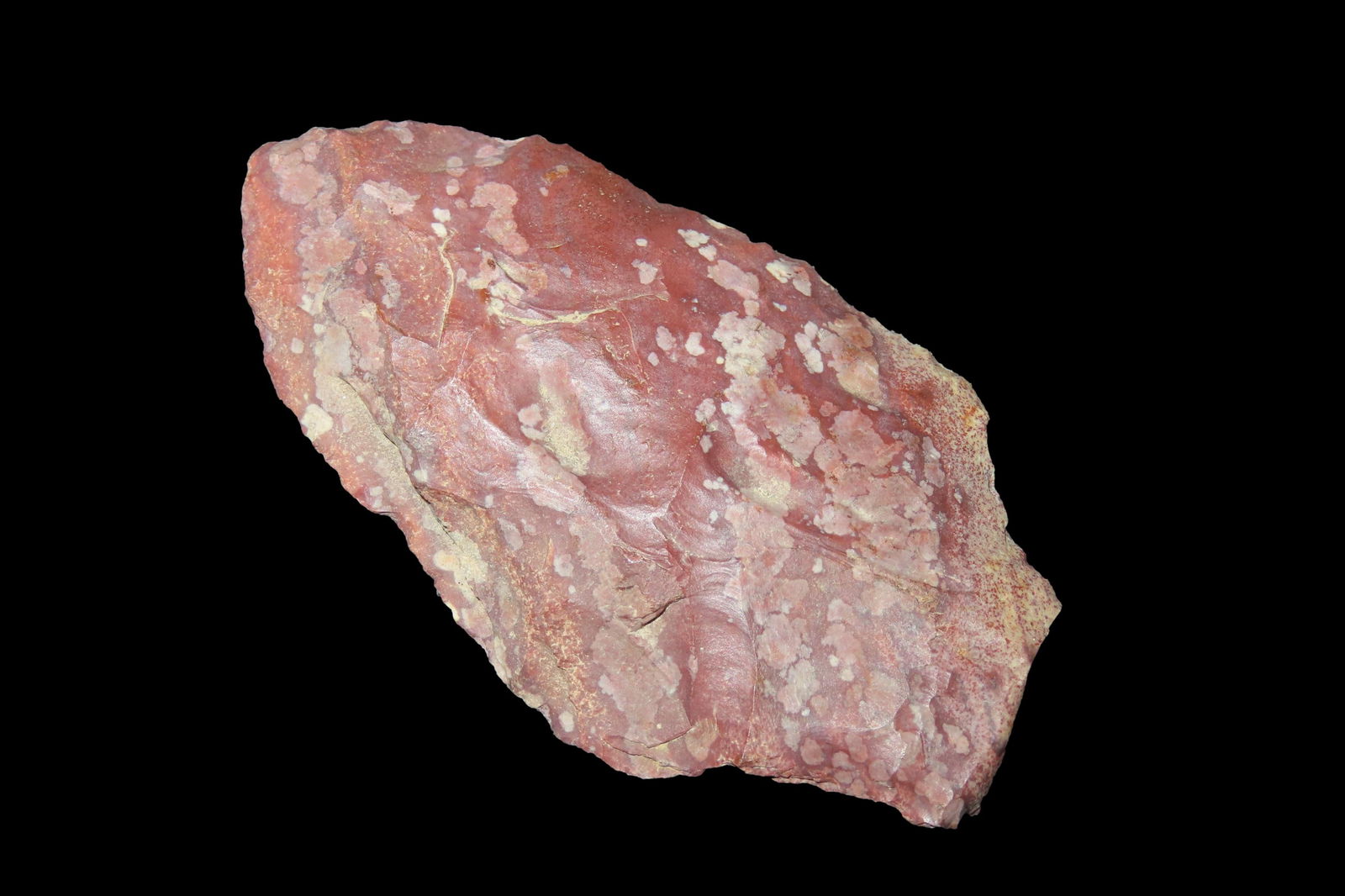 3" Abbey Pt, found in either Florida or Georgia between 1968-2023 by Jeff Thompson: 3" Abbey Pt, found in either Florida or Georgia between 1968-2023 by Jeff Thompson