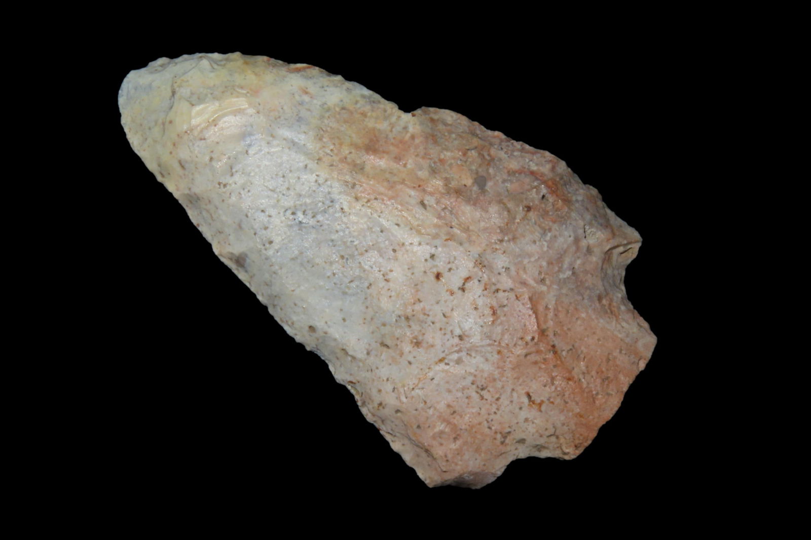 2 1/2" Abbey Pt, found in Polk Co., Florida between 1968-2023 by Jeff Thompson (1 of 6)