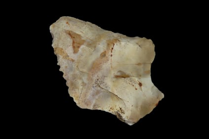 2 3/16" Abbey Pt, found in Marion Co., Florida between 1968-2023 by Jeff Thompson