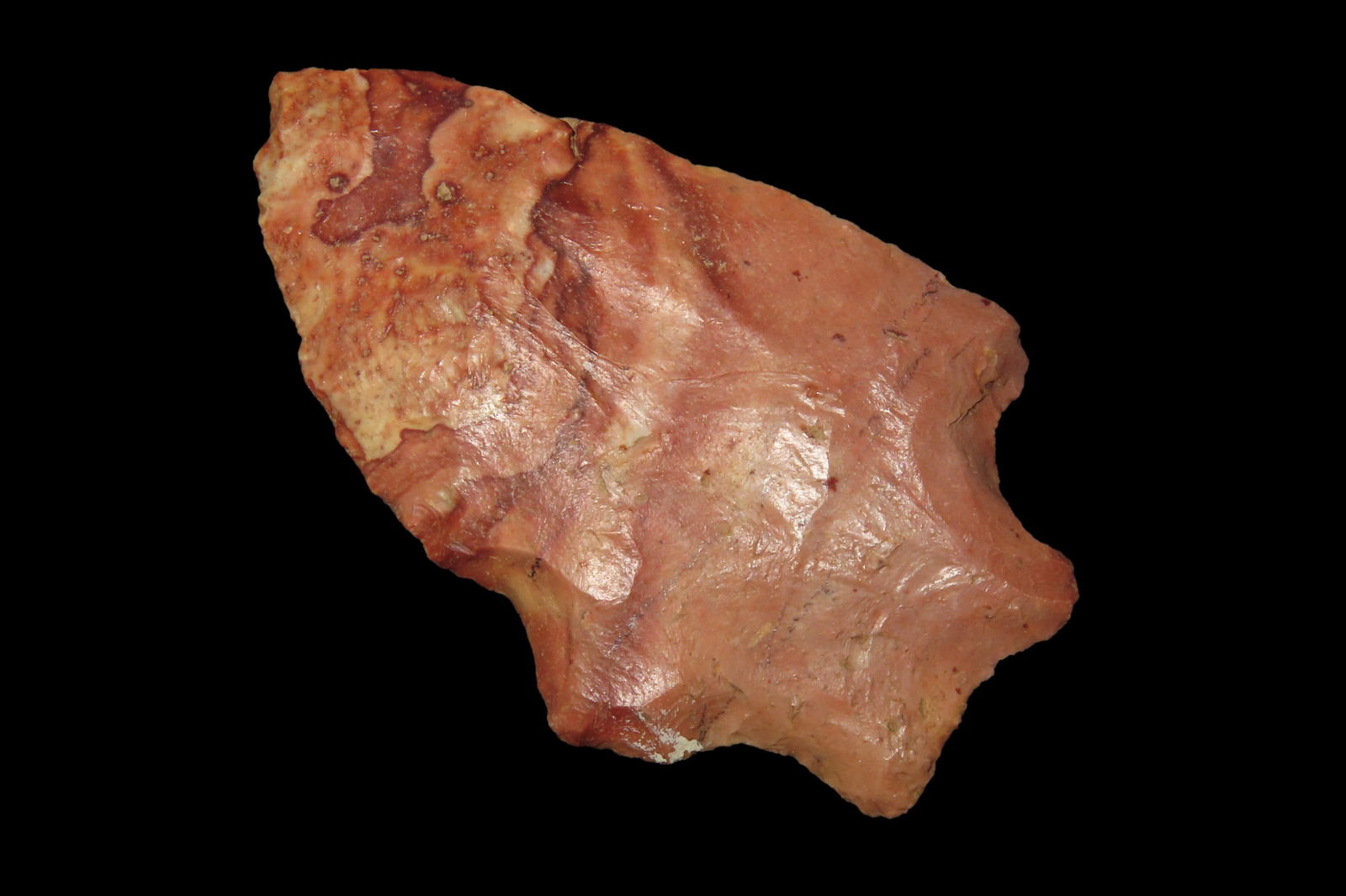 2 5/8" Seminole Pt, found in Nassau Co., Florida between 1968-2023 by Jeff Thompson (1 of 6)