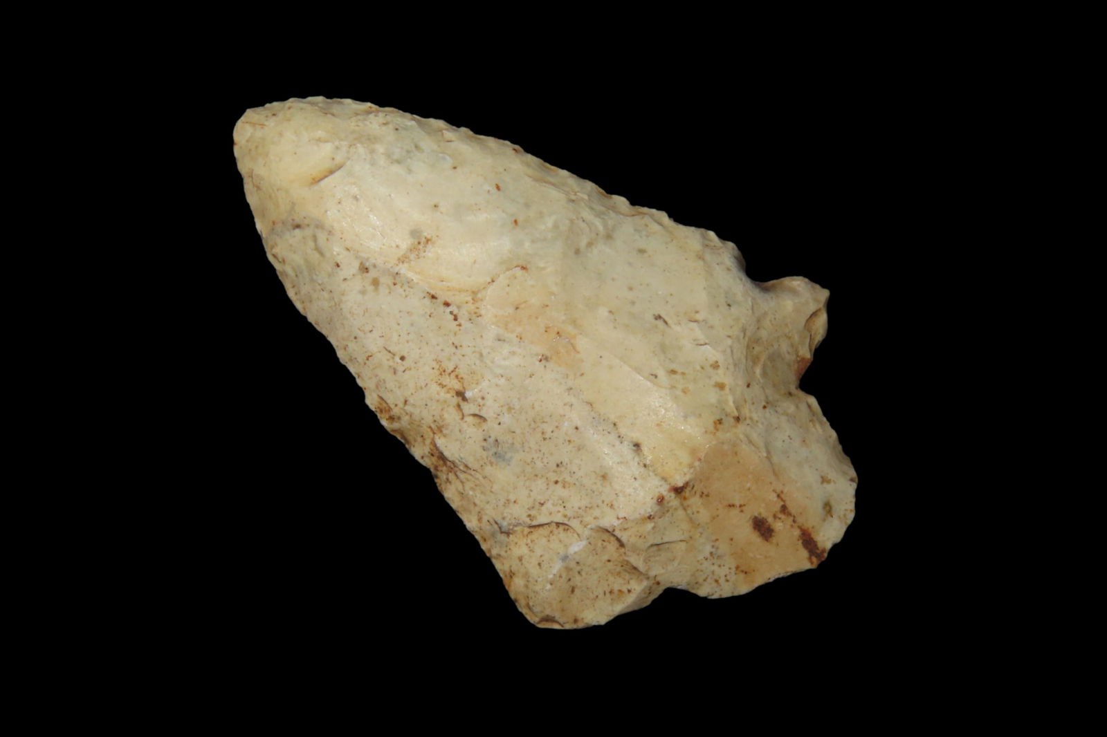 2 5/8" Abbey Pt., found in either Florida or Georgia between 1968-2023 by Jeff Thompson (1 of 6)