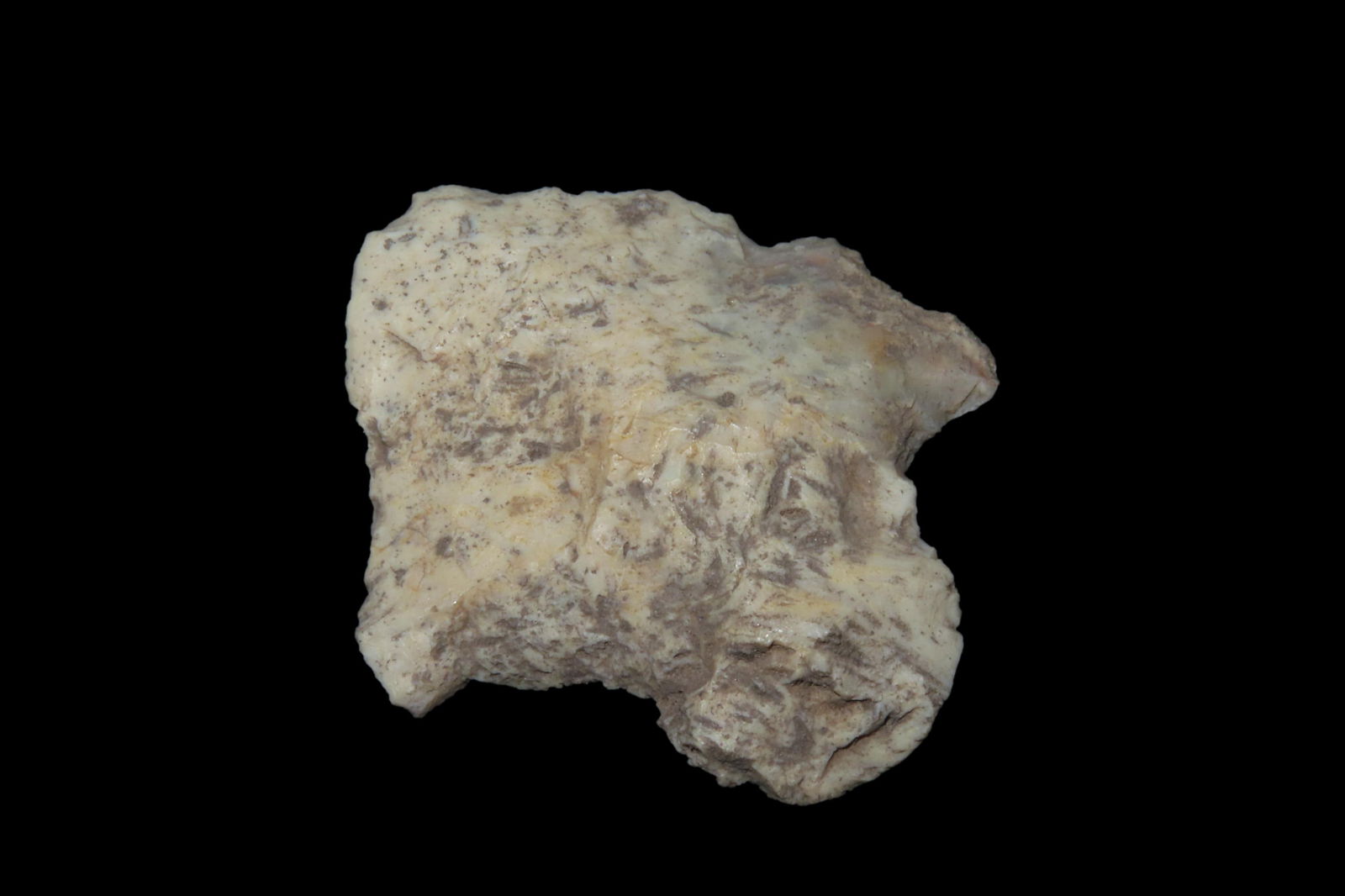 2 1/2" Lanceolate, found in Missouri, Ex Jeff Thompson Collection (1 of 6)