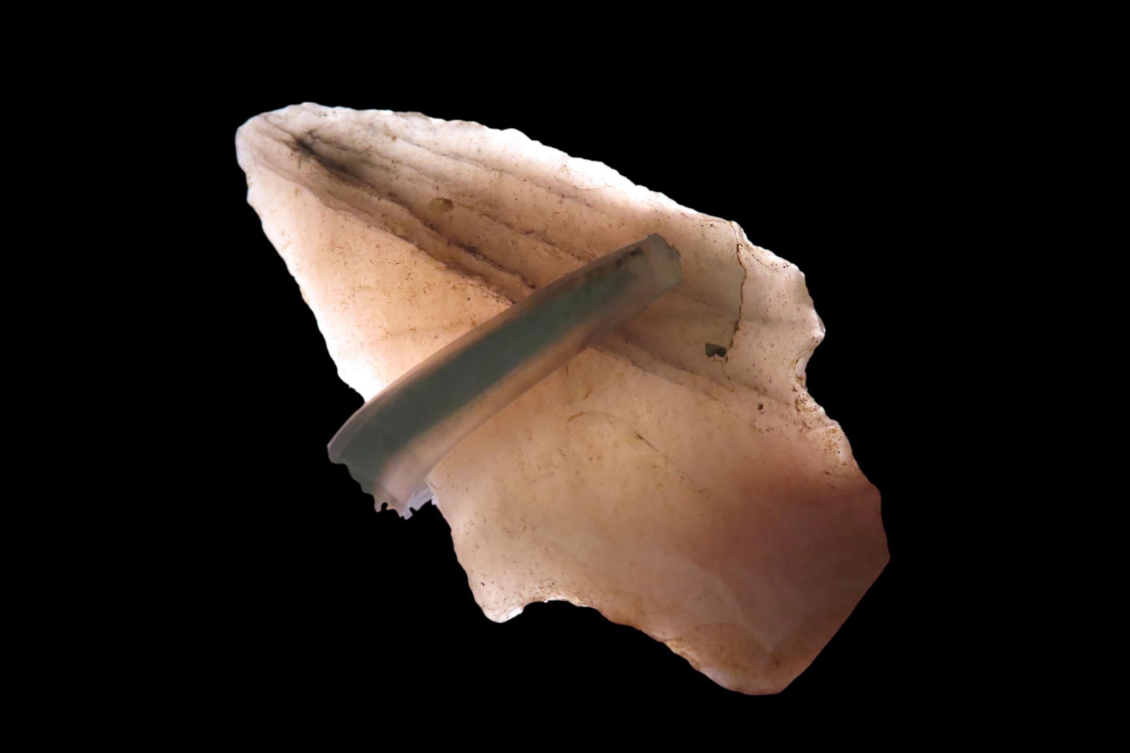 1 7/8" Newnan, found in either Florida or Georgia between 1968-2023 by Jeff Thompson (1 of 7)