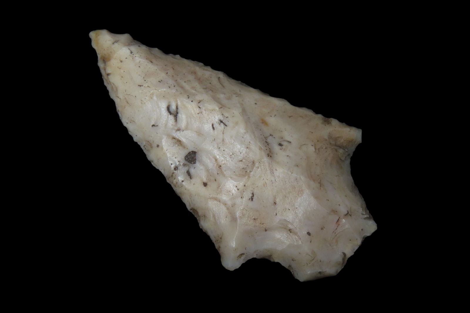 2 1/16" Marion Pt., found in either Florida or Georgia between 1968-2023 by Jeff Thompson (1 of 6)