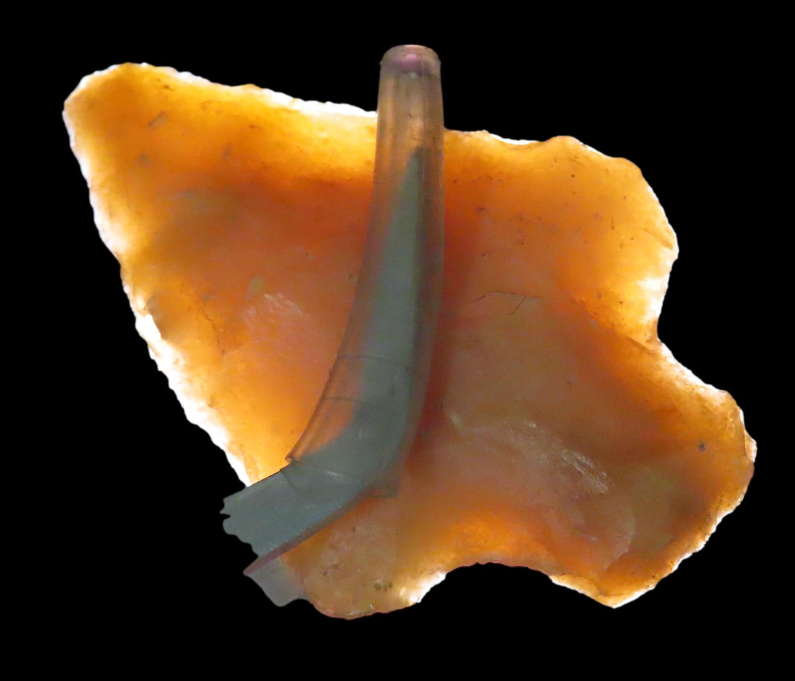 1 7/8" Marion Pt, found in either Florida or Georgia between 1968-2023 by Jeff Thompson (1 of 7)