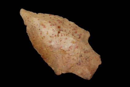 2 5/8" Alachua Pt, found in Marion Co., Florida between 1968-2023 by Jeff Thompson