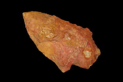 2 7/16" Abbey Pt, found in Marion Co., Florida between 1968-2023 by Jeff Thompson